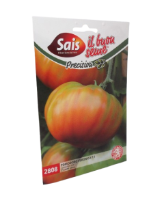 Tomate hybride Veronica Sais