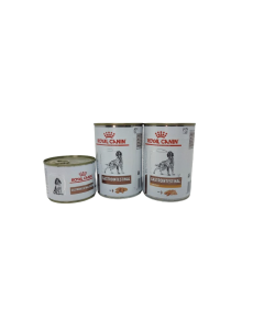 GASTROINTESTINAL Cane Royal Canin